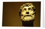 Emperor wearing a laurel wreath by Stuart Cox