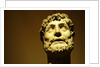 Emperor wearing a laurel wreath by Stuart Cox