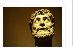 Emperor wearing a laurel wreath by Stuart Cox