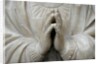 Virgin Annunciate by Stuart Cox