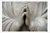 Virgin Annunciate by Stuart Cox