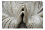 Virgin Annunciate by Stuart Cox