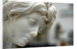 Thetis, detail by Stuart Cox