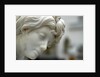 Thetis, detail by Stuart Cox