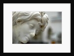 Thetis, detail by Stuart Cox