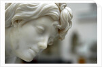 Thetis, detail by Stuart Cox