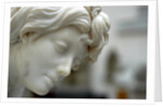 Thetis, detail by Stuart Cox