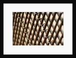 Fanlight grille, detail by Stuart Cox