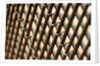 Fanlight grille, detail by Stuart Cox