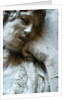 Virgin and Child with Saints, detail by Stuart Cox
