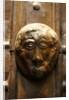 Door knocker, detail by Stuart Cox