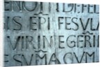 Cantoria, detail by Stuart Cox