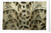 Byzantine Capital, detail by Stuart Cox