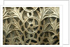 Byzantine Capital, detail by Stuart Cox