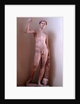 Jason and the golden fleece by Stuart Cox