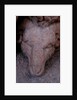Jason and the golden fleece by Stuart Cox