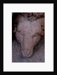 Jason and the golden fleece by Stuart Cox