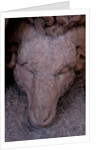 Jason and the golden fleece by Stuart Cox