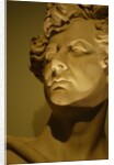 King George IV, close-up by Stuart Cox