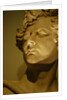 King George IV, close-up by Stuart Cox
