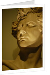 King George IV, close-up by Stuart Cox