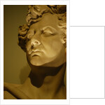 King George IV, close-up by Stuart Cox