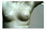 Venus, detail of breast by Stuart Cox