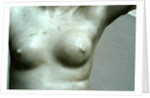 Venus, detail of breast by Stuart Cox