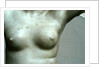 Venus, detail of breast by Stuart Cox