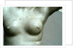 Venus, detail of breast by Stuart Cox