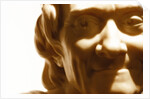 Francois Marie Aronet de Voltaire, detail by Stuart Cox