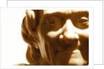 Francois Marie Aronet de Voltaire, detail by Stuart Cox