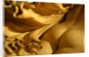The Sleep of Sorrow and the Dream of Joy, detail by Stuart Cox
