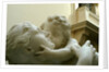 Maternal Affection, detail by Stuart Cox