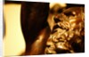Aristaeus Fettering Proteus, detail by Stuart Cox