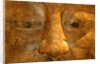 Head of the Buddha by Stuart Cox