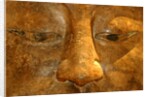 Head of the Buddha by Stuart Cox