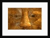 Head of the Buddha by Stuart Cox