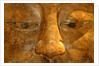 Head of the Buddha by Stuart Cox