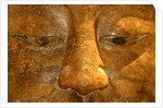Head of the Buddha by Stuart Cox