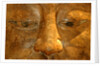 Head of the Buddha by Stuart Cox