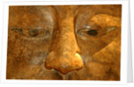 Head of the Buddha by Stuart Cox