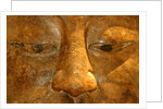 Head of the Buddha by Stuart Cox