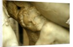 Zephyrus and Flora, detail by Stuart Cox