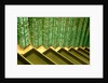 Glass staircase, detail by Stuart Cox