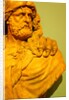 Hercules by Stuart Cox