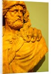 Hercules by Stuart Cox