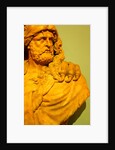 Hercules by Stuart Cox