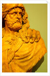 Hercules by Stuart Cox