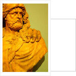 Hercules by Stuart Cox